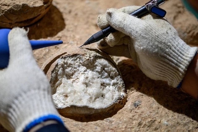 Dinozor Yumurtası İlk Kez Doğrudan Tarihlendirildi