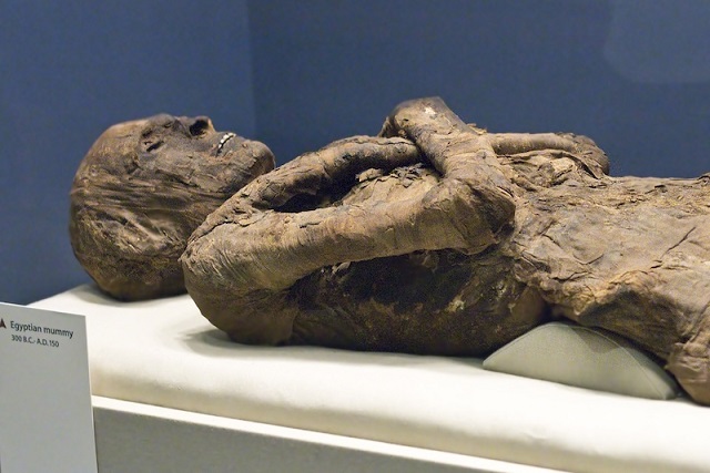 Mısır Mumyalama Malzemeleri Kokularından Tespit Edilebiliyo