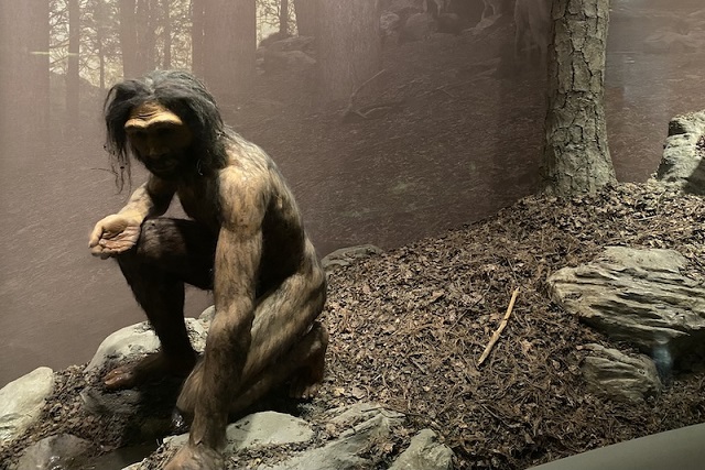 Homo Erectus Anneleri, Yavrularını Nasıl Büyütüyordu?