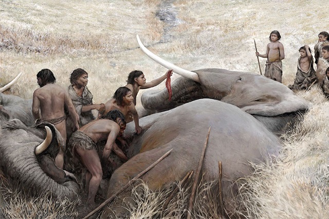 Neandertaller, Filleri Yiyecek Kadar Kalabalık Yaşıyordu