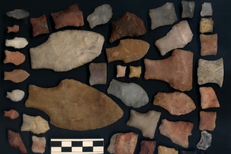 Arjantin’de 8.500 Yıl Karışmadan Yaşamış Bir Soy Keşfedildi