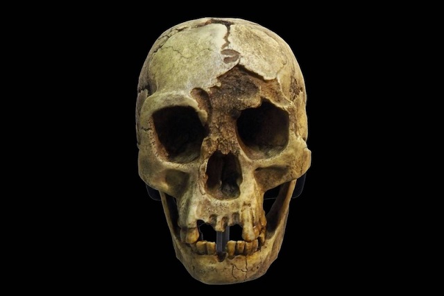 ‘Hobbitler’in Yok Oluş Nedeni, Kuraklık Kaynaklı Rekabet Olabilir