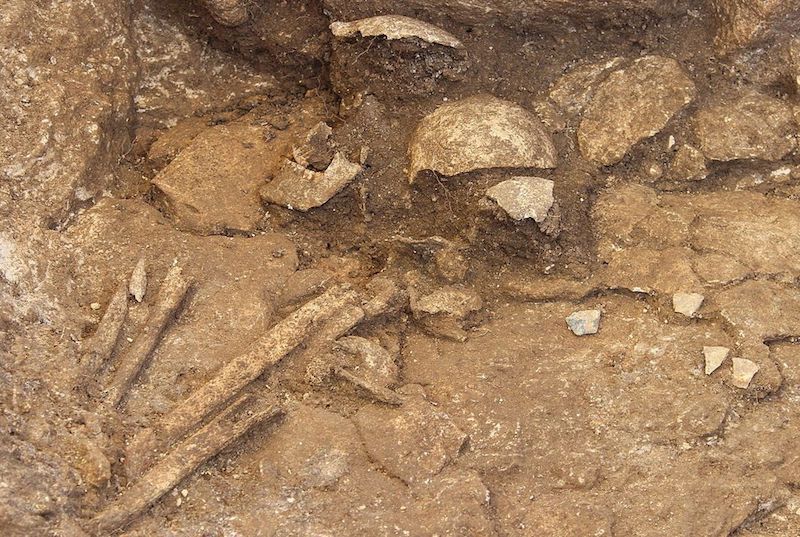 Erkeklerle Dolu Neolitik Mezarlıkta, ‘Savaşçı’ Bir Kadın Bulundu