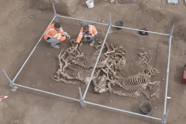 Bu Kısa Atlar 2.000 Yıl Önce Büyük Bir Özenle Gömülmüş