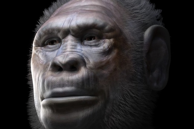 Afrika’dan İki İnsan Türü Birlikte Çıkmış