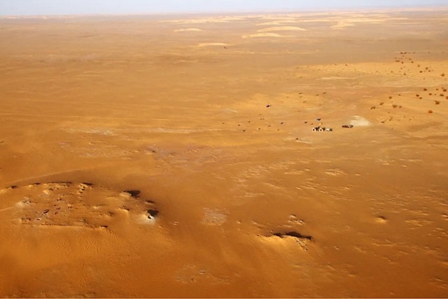 Sahra Çölü’ndeki Tarihöncesi Mezarlıkta 200 İskelet Keşfedildi