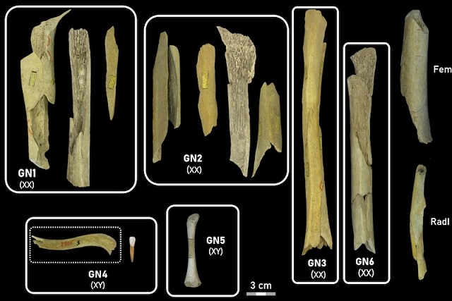 Neandertaller Rakip Gruptaki Kadın ve Çocukları Kaçırıp Yemiş