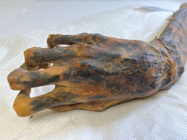 Antik Dünyadan Bugüne Ulaşan 6 Dövme