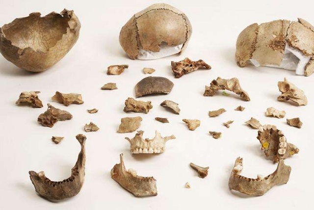 Gough Mağarası’nda 14.700 Yıl Önce Yamyamlık ve Ritüeller