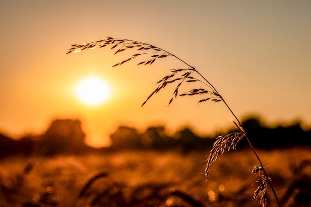Devletler Binlerce Yıl Önce Neden Ortaya Çıktı?