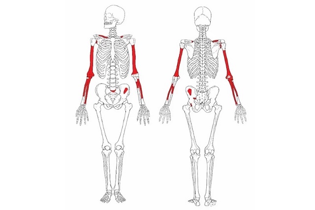 Homo habilis’e Ait 2 Milyon Yıllık En Eksiksiz İskelet Bulundu