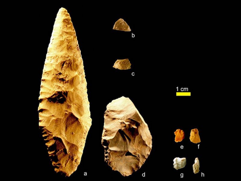 Amerika’da Bilinen En Eski Evcil Köpek Kalıntıları Keşfedildi