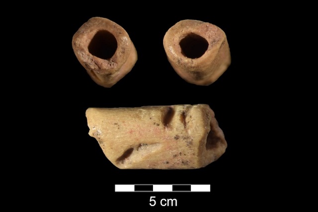 Arkeologlar Amerika’da Bilinen En Eski Boncuğu Keşfetti
