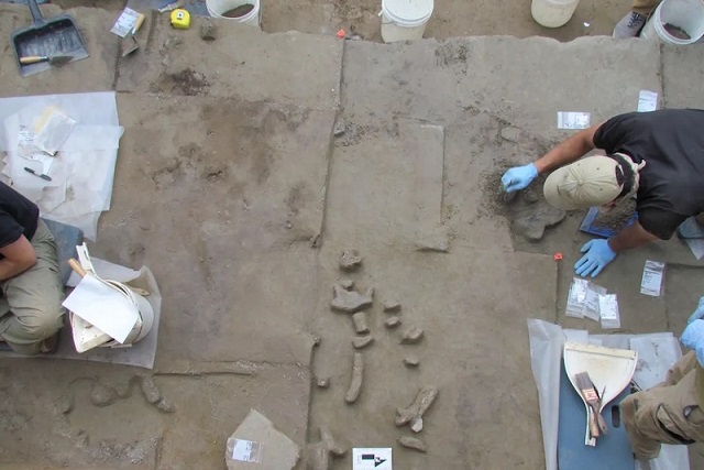 Alaska’da 14.000 Yıllık Mamut Dişi Aletler Bulundu