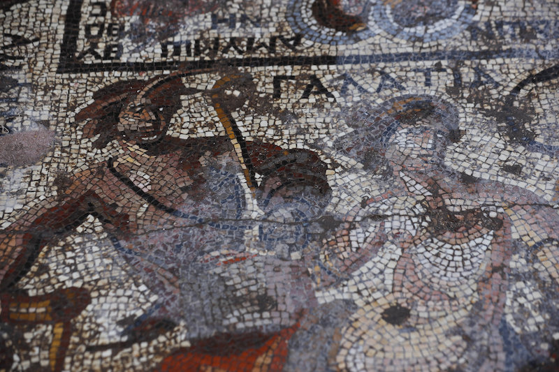 Suriye’de Troya Savaşı’nı Betimleyen Nadir Mozaik Bulundu