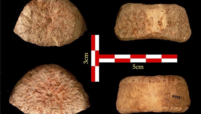 Le premier humain de grande taille découvert au Levant