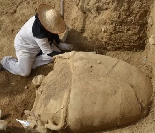 Petrol sondaj alanında urne benzeri mezarların bulunduğu 2.000 yıllık bir mezarlık ortaya çıkarıldı.