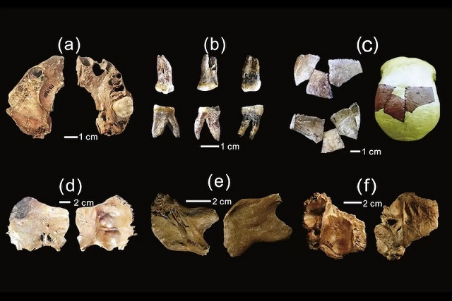 150.000 Yıl Önce Ejderha Adam ve İri Kafalı Adam Yaşıyordu