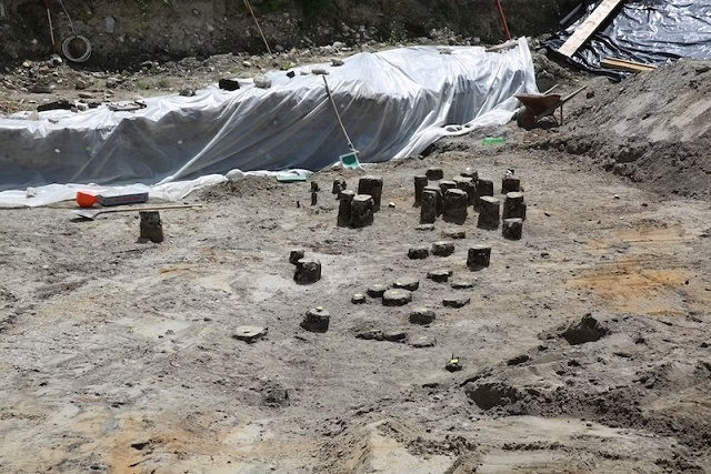 İsviçre’de 2.000 Yıllık Ahşap Köprü Kalıntıları Bulundu