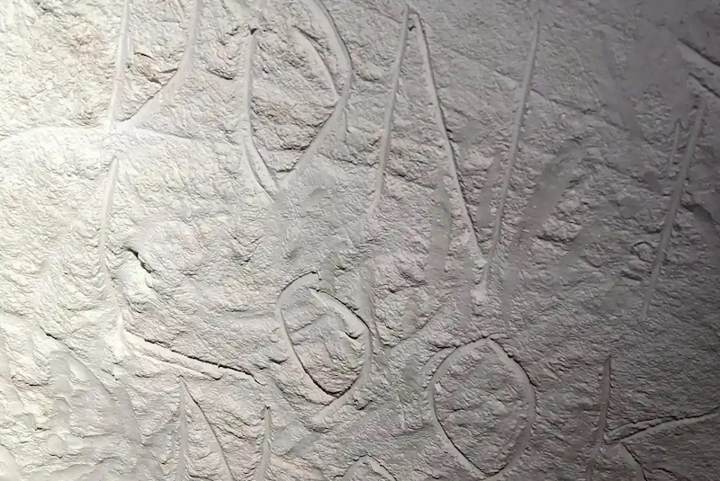 Avustralya’da 30.000 Yıllık Kaya Sanatı Yok Edildi