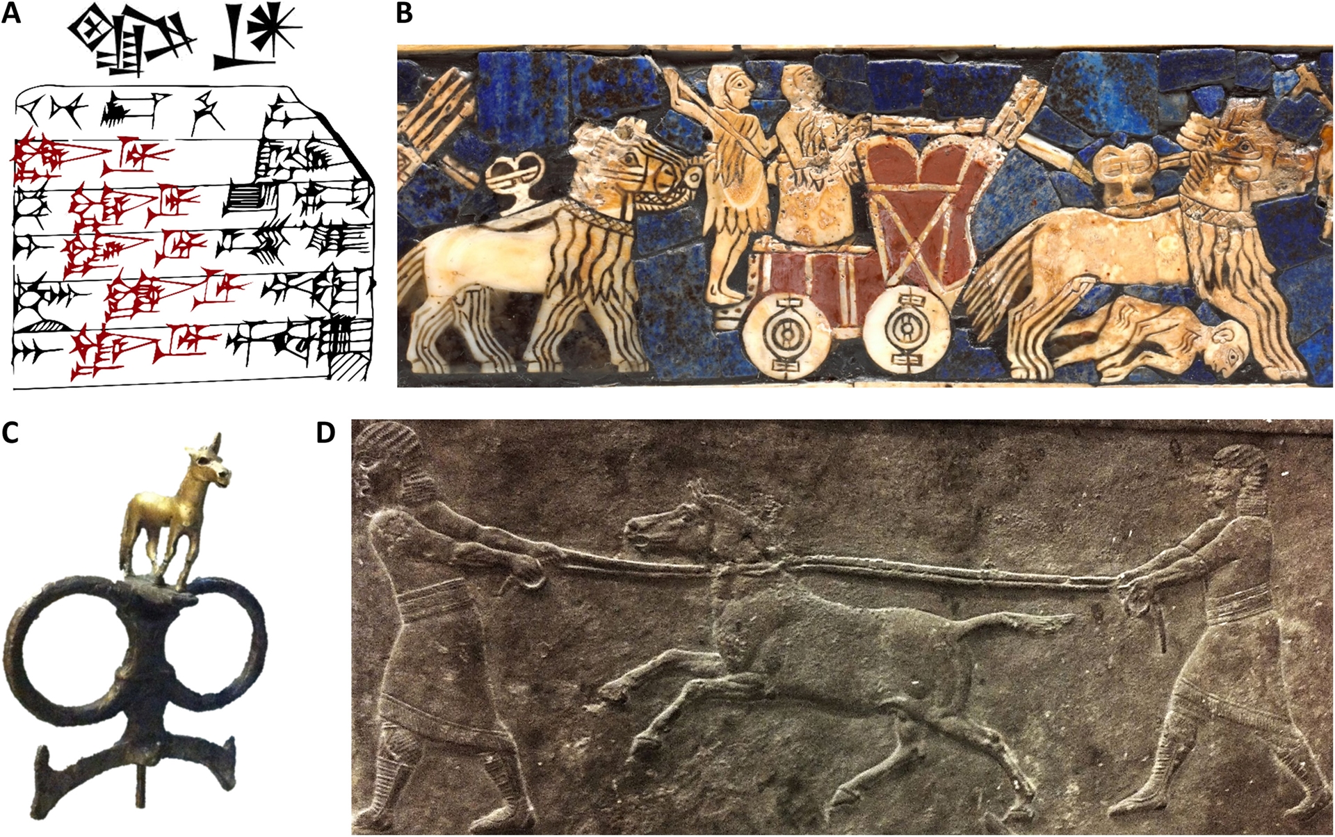 Mezopotamya'nın gizemli hayvanı Kunga'nın sırrı DNA ile çözüldü