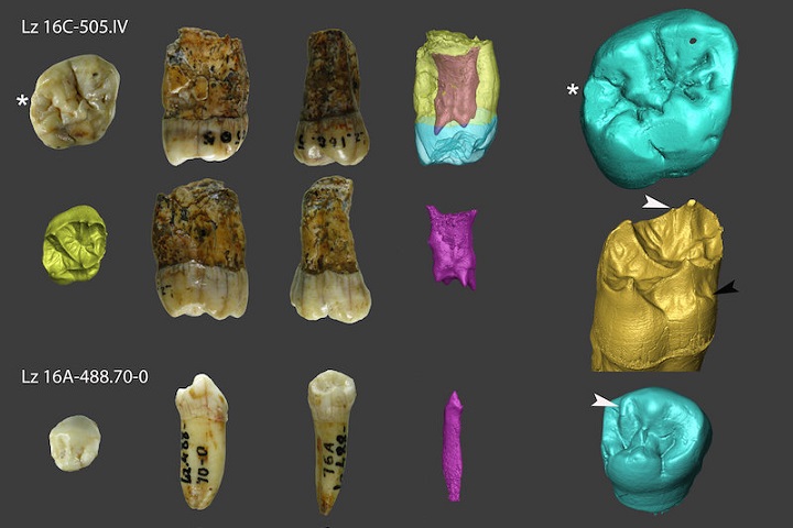 Neandertaller, İspanya’nın Kuzeyinde Uzun Süre Yaşamış