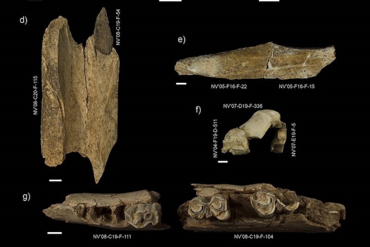 Neandertal Avcıları Rutinlerini Değiştiriyor muydu?