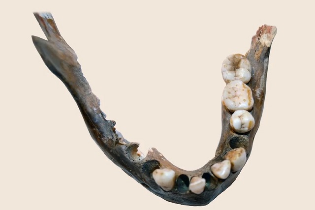 Güney Afrika’da İnsanlar 100.000 Yıl Boyunca İzole Kalmış