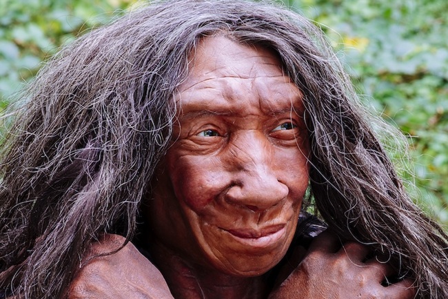 Kuzeybatı Avrupa’daki Son Neandertallerin Gen Havuzu Sağlıklıydı