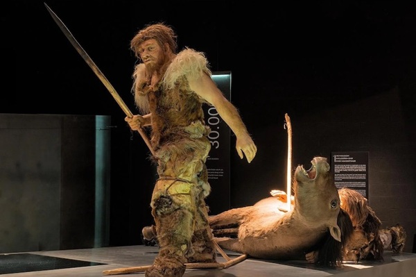 Neandertal Evrimi Düşünüldüğü Kadar Doğrusal Değildi