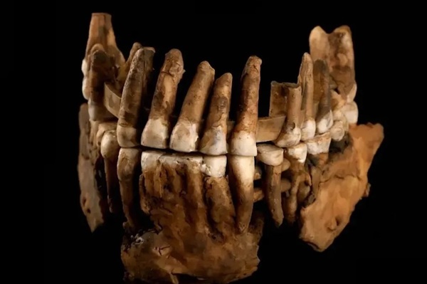 Bu Neandertal Popülasyonu, Diğerlerinden 50.000 Yıl İzole Kalmış