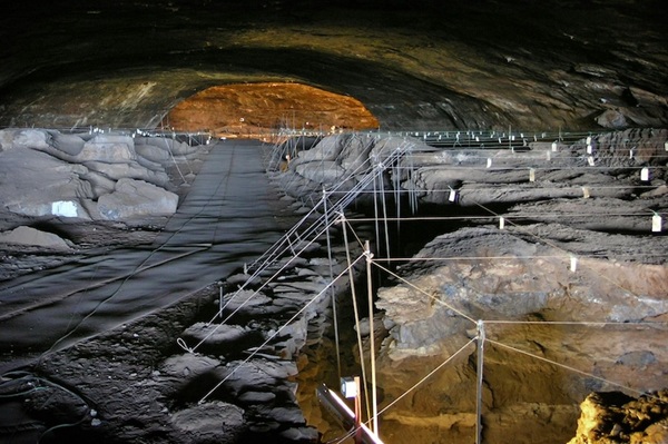 Homo Erectus 1,79 Milyon Yıl Önce Mağaraya Ateş Taşımış