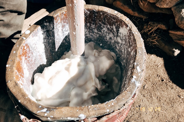 Tibetliler Binlerce Yıl Önce Süt Ürünleri Tüketiyorlardı