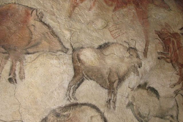 Modern İnsan Ne Zaman Ortaya Çıktı Hâlâ Bilmiyoruz