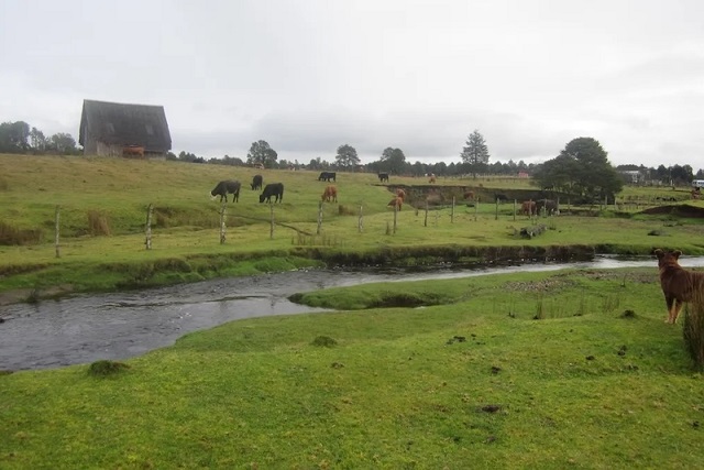 Amerika’nın İlk Yerleşimlerinden Biri Çok Daha Genç Olabilir