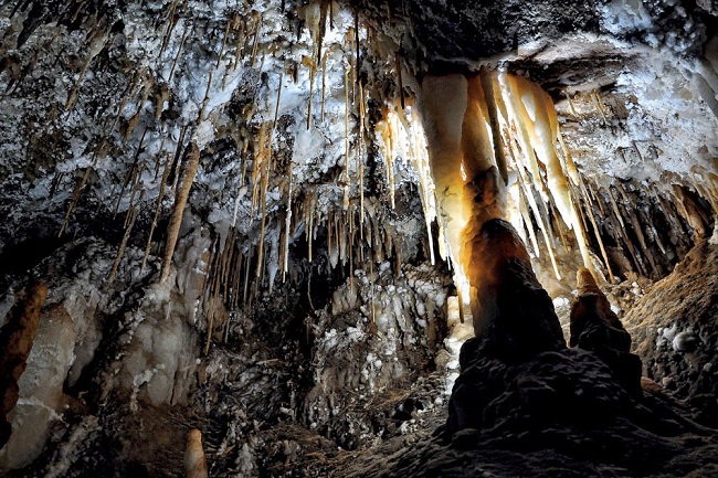 Morca Mağarası’nda yeni bir tür bakteri keşfedildi