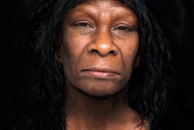 Dünyada Hiç Bu Kadar Neandertal DNA’sı Var Olmamıştı
