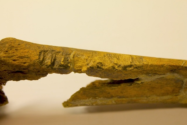 Bazı Vikingler Diğerlerinden Çok Daha Vahşiydi