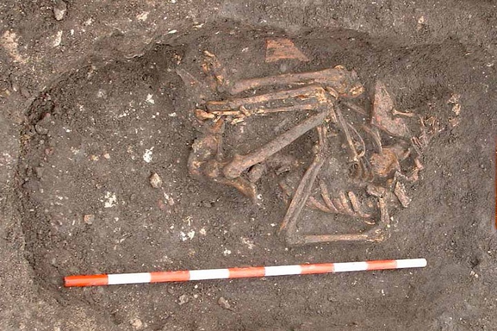Çömelirken Gömülmüş Orta Çağ Münzevisi Frengi Çıktı