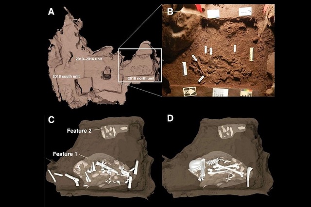 Homo naledi’nin Ölülerini Gömdüğüne Dair Kanıtlar Artıyor