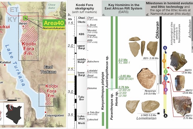 2,75 Milyon Yıllık Taş Aletler, Dönüm Noktasına İşaret Ediyor