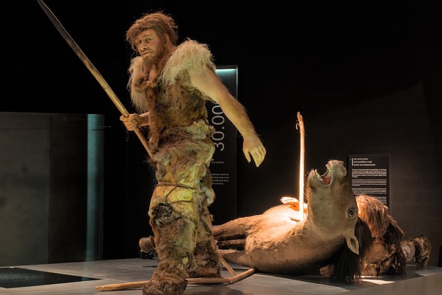 Neandertaller Huş Katranını Antibiyotik Olarak Kullanmış Olabilir