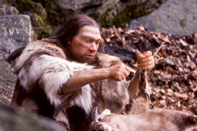 Neandertal Grupları Aynı Hayvanı Farklı Biçimlerde Kesiyordu