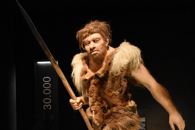 Neandertallerin sapiens Dilini Öğrenememesi mi Sonlarını Getirdi?