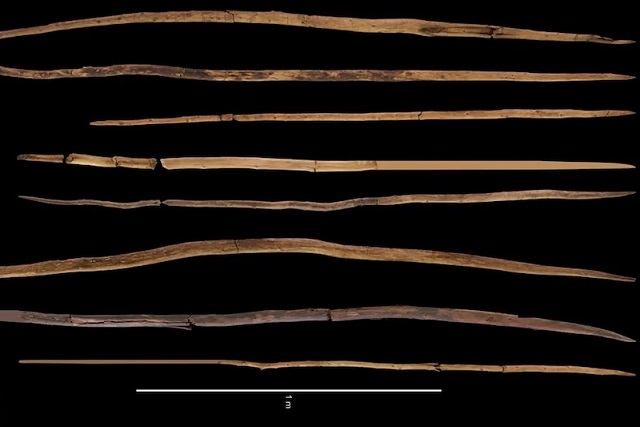 Neandertaller 200.000 Yıl Önce Bu Ahşap Mızraklarla At Avlamış