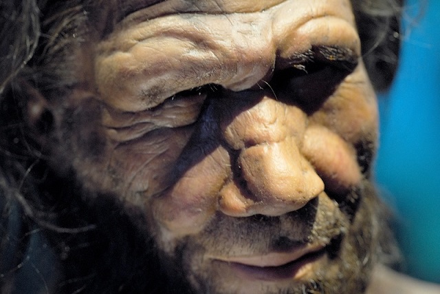 Neandertaller Ne Kadar Yaşıyordu?