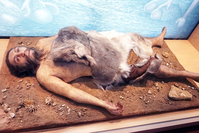 Neandertaller ile En Son Çiftleşmemiz Levant’ta Gerçekleşmiş