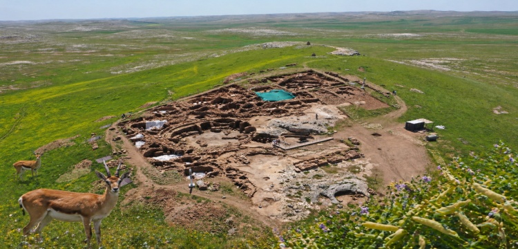 Karahantepe’de 12 Bin Yıllık Sofra: Ceylan ve Baklagil İzleri