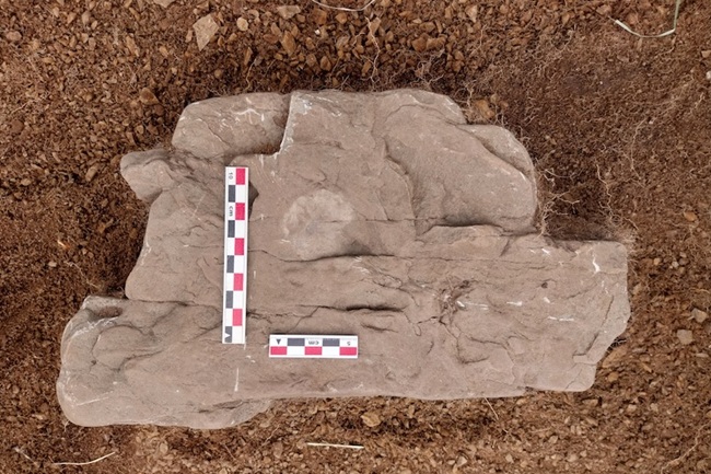 400 Yıllık Sikke, Başarısız İspanyol Kolonisinin Yerini Çözdü