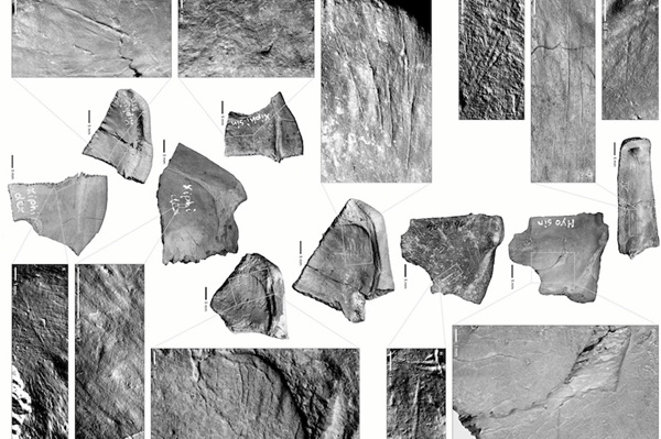 Neandertaller Gölet Kaplumbağalarını Kabukları için Avlamış